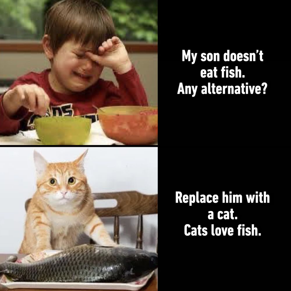My son doesn't like fish. Any alternative? Replace him with a cat. Cats love fish. 