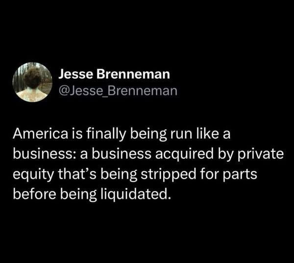 America is finally being run like a business: one acquired by private equity that is being stripped for parts before being liquidated. 