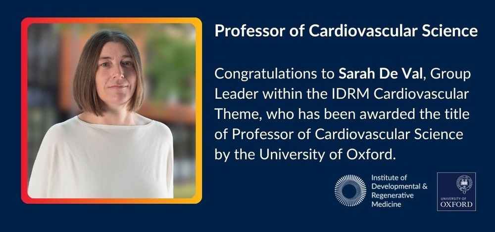 Square photo showing the head and shoulders of a woman against a blurred background and outlined by a red and yellow gradient border. On the right hand sign is white text on a blue background that reads: Professor of Cardiovascular Science. Congratulations to Sarah De Val, Group Leader within the IDRM Cardiovascular Theme, who has been awarded the title of Professor of Cardiovascular Science by the University of Oxford. To the bottom left are logos for the Institute of Developmental & Regenerative Medicine, and for the University of Oxford.