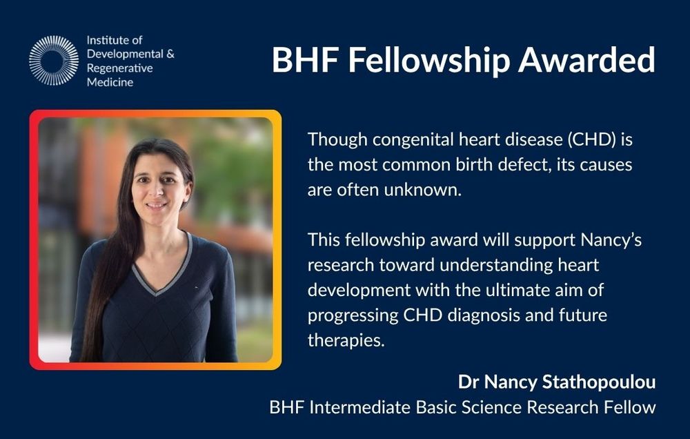 Dark blue background with white text. Institute of Developmental & Regenerative Medicine logo sits in top left corner with text to the right reading: BHF Fellowship Awarded. Photo of researcher awarded is on the left highlighted within a thin frame that from red to yellow from left to right. Main text reads: Though congenital heart disease (CHD) is the most common birth defect, its causes are often unknown. This fellowship award will support Nancy's research toward understanding heart development with the ultimate aim of progressing CHD diagnosis and future therapies. Dr Nancy Stathopoulou, BHF Intermediate Basic Science Research Fellow.