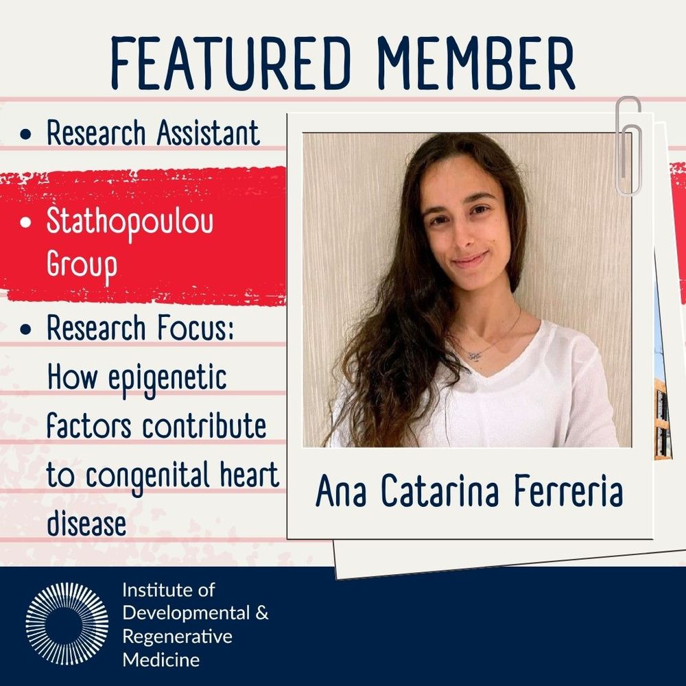 Square image with a background designed to look like lined note paper. Title reads as Featured Member. On the right is a faux polaroid photo of the featured member, Anna Catarina Ferreria, with her name below her image. On the left are three bullet points that state 1) her job role of Research Assistant, 2) she is a member of the Stathopoulou Group, and 3) her research focus of how epigenetic factors contribute to congenital heart disease. A dark blue band stretches across the bottom of the square to highlight a white Institute of Developmental & Regenerative Medicine logo