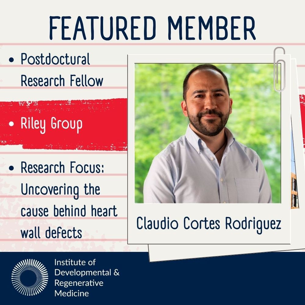 Square image with a background designed to look like lined note paper. Title reads as Featured Member. On the right is a faux polaroid photo of the featured member, Claudio Cortes Rodriguez, with his name below his image. On the left are three bullet points that state 1. his job role of Postdoctural Research Fellow, 2. he is a member of the Riley Group, and 3. his research focus which is uncovering the cause behind heart wall defects. A dark blue band stretches across the bottom of the square to highlight a white Institute of Developmental & Regenerative Medicine logo.
