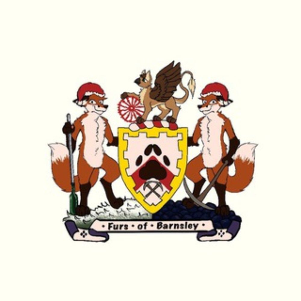 BarnsleyFurs