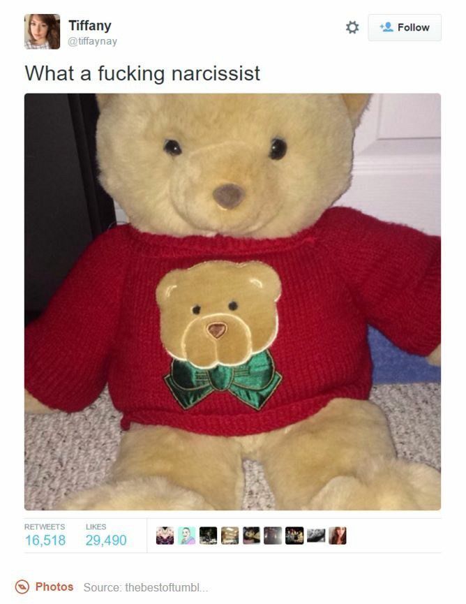 Tweet saying "what a fucking narcissist" with a teddy bear that has a sweater with an image of himself 