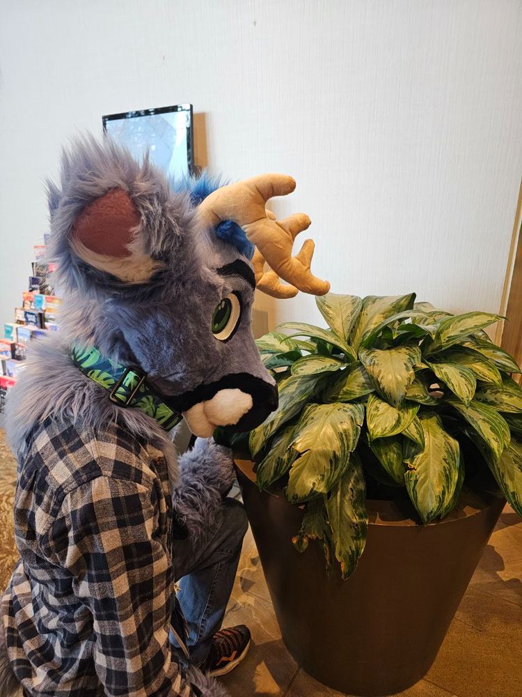 Pictured is a deer fursuiter similar to the description in the first image kneeling over to eat a potted plant. Photo was taken by my partner skye.