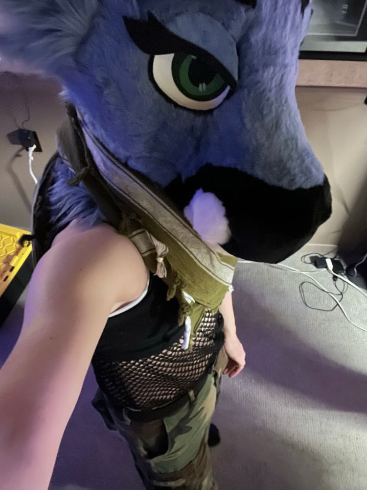 Pictured is a deer fursuiter in fishnets and military clothing in a basement.