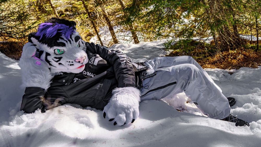 Nickel a white tiger laying on the snow in a pose reminiscent of "Draw me like one of your French girls" 