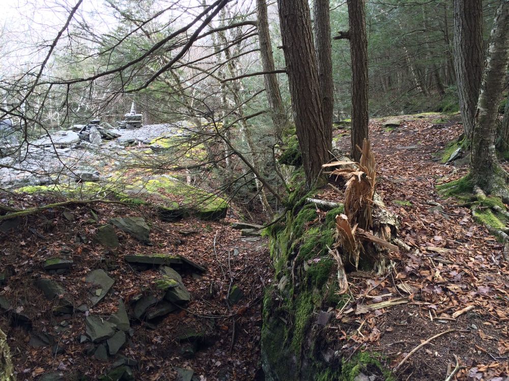 Photograph of a path through a forest. Lush moss on rocks, wood chips from a rotted tree. A strange rock structure in the distant left side. A chasm creeping between the two sides of the ground. 