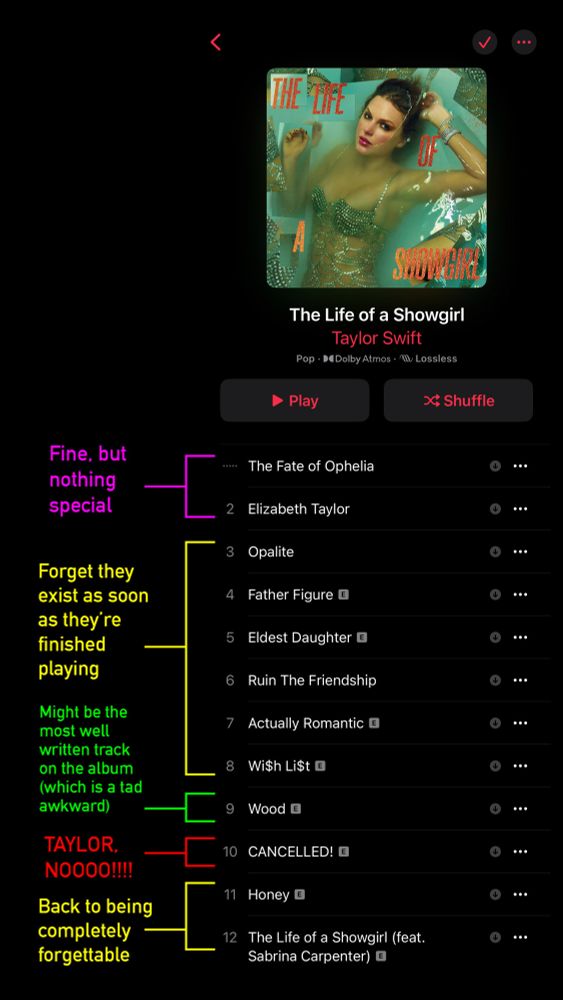 A screenshot of the tracklist of the new Taylor Swift album with some comments in the margins.