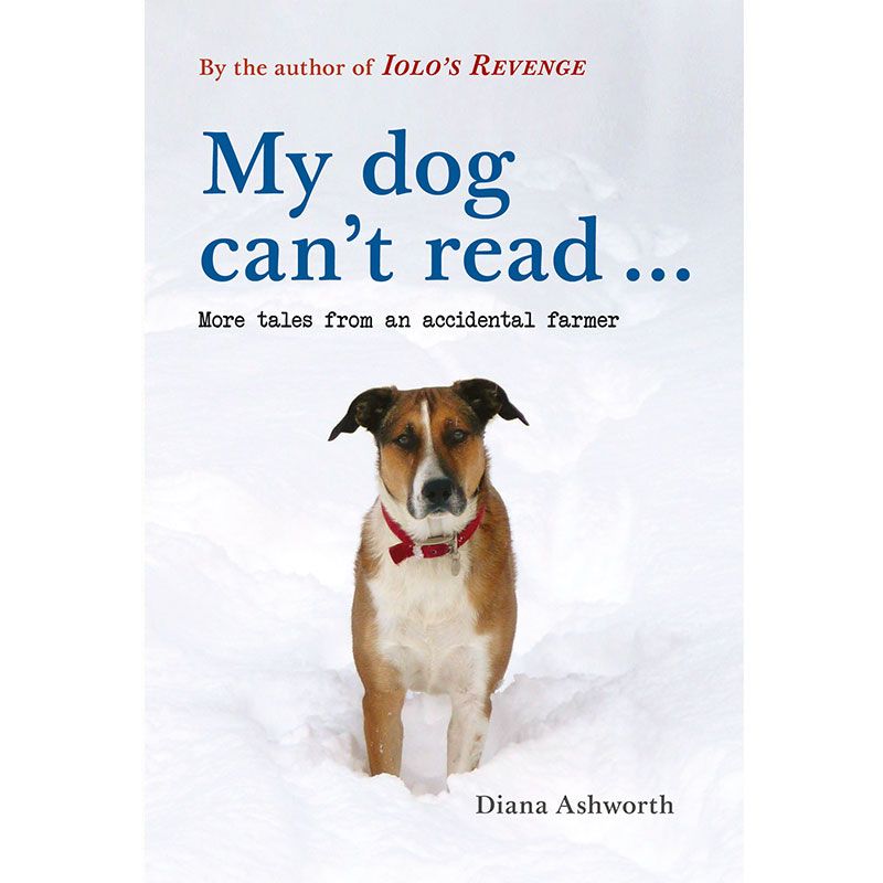 Cover image for My dog can't read ... More tales from an accidental farmer