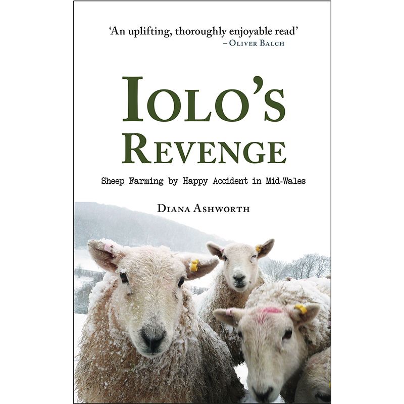 Cover image for Iolo's Revenge: Sheep farming by happy accident in Mid Wales