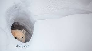 bonjour 