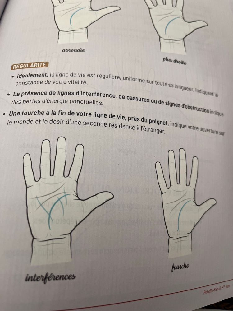 Une photo des lignes de vie, avec des significations what the fuck. 