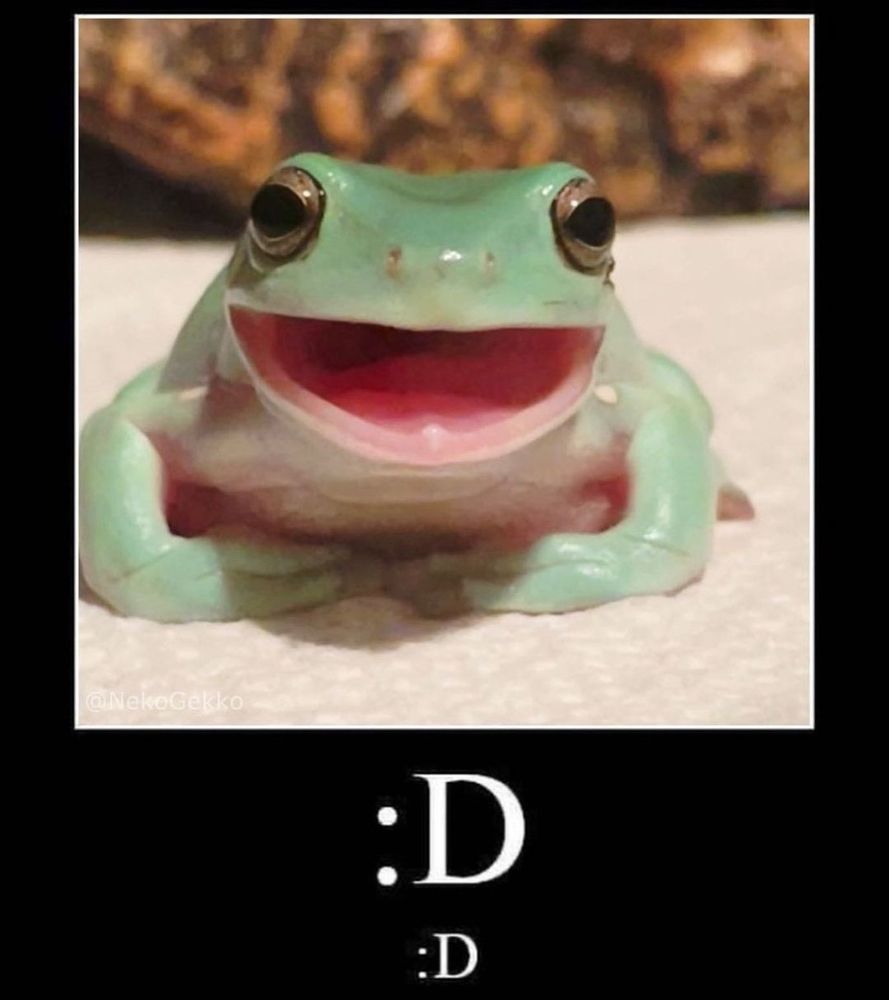 Comment image
