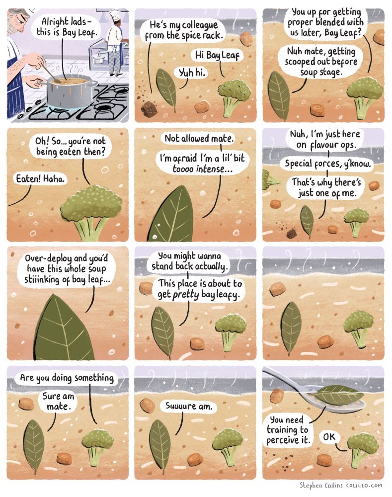 Cartoon by Stephen Collins for the Guardian, here's the script:

[Scene is the inside of a SOUP. Some CARROTS and BITS OF BROCCOLI are floating around and a STOCK CUBE and a BAY LEAF have just been dropped in.] 

1
STOCK CUBE:
Alright lads - this is Bay Leaf.
My colleague from the spice rack.

2
BROCCOLI:
Hi Bay Leaf

BAY LEAF:
Yuh yuh hi

3
CARROTS:
You up for getting proper blended with us later, Bay Leaf?

BAY LEAF:
Nuh mate, getting scooped out before soup stage.

4
CARROTS:
Oh! So… you’re not being eaten then?

BAY LEAF:
Eaten! Haha

5
BAY LEAF:
Not allowed mate.

I’m afraid I’m a lil’ bit *toooo intense*...

6
BAY LEAF:
Just here for the flavour hit.
Special forces, y’know.
That’s why there’s just one of me.

7
BAY LEAF:
Over-deploy and you’d have this whole soup stiiinking of bay leaf…

8
BAY LEAF:
You might wanna stand back actually.
This place is about to get preeetty bay leafy...

9
[Silent pause]

10
CARROTS:
Are you doing something

BAY LEAF:
Sure am mate.

11
BAY LEAF:
Suuuuure am.

12
BAY LEAF [Getting scooped out by chef’s spoon]:
You need training to perceive it.

CARROTS:
OK