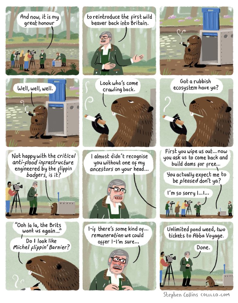 Comic by Stephen Collins for the Guardian. Script as follows:

Scene is a British WOODLAND by a RIVER. A NATURALIST is stood next to a cage, and TV NEWS REPORTERS are filming him and the cage. 

1
NATURALIST:
And now It is my great honour 

 2
NATURALIST:
to reintroduce the first wild beaver 
back into Britain 

3
[Cut to the BEAVER’S CAGE. Its door is open and the Beaver is leaned nonchalantly up against the opening, smoking a cigarette.]

4
BEAVER:
Well, well, well.

5
BEAVER:
Look who's come crawling back.

6 
BEAVER:
Got a rubbish ecosystem have ya? 

7
BEAVER:
Not happy with the *critical anti-flood infrastructure* engineered by the flippin *badgers*?

8
BEAVER:
I almost didn't recognise you without one of my ancestors on your head…

9
BEAVER:
First you wipe us out… now you ask us to come back and build dams for free…
You actually expect me to be *pleased* don’t ya? 

NATURALIST:
I'm so sorry I…I…

10
BEAVER:
“Ooh la la, the Brits have come crawling back…”
Do I look like *Michel flippin’ Barnier*?

11
NATURALIST:
I-if there’s some kind of… *remuneration* we could offer I-I’m sure…

12
BEAVER [throwing cigarette to the ground]:
Unlimited pond weed, two tickets to Abba Voyage. 

NATURALIST:
Done.

[ends]
