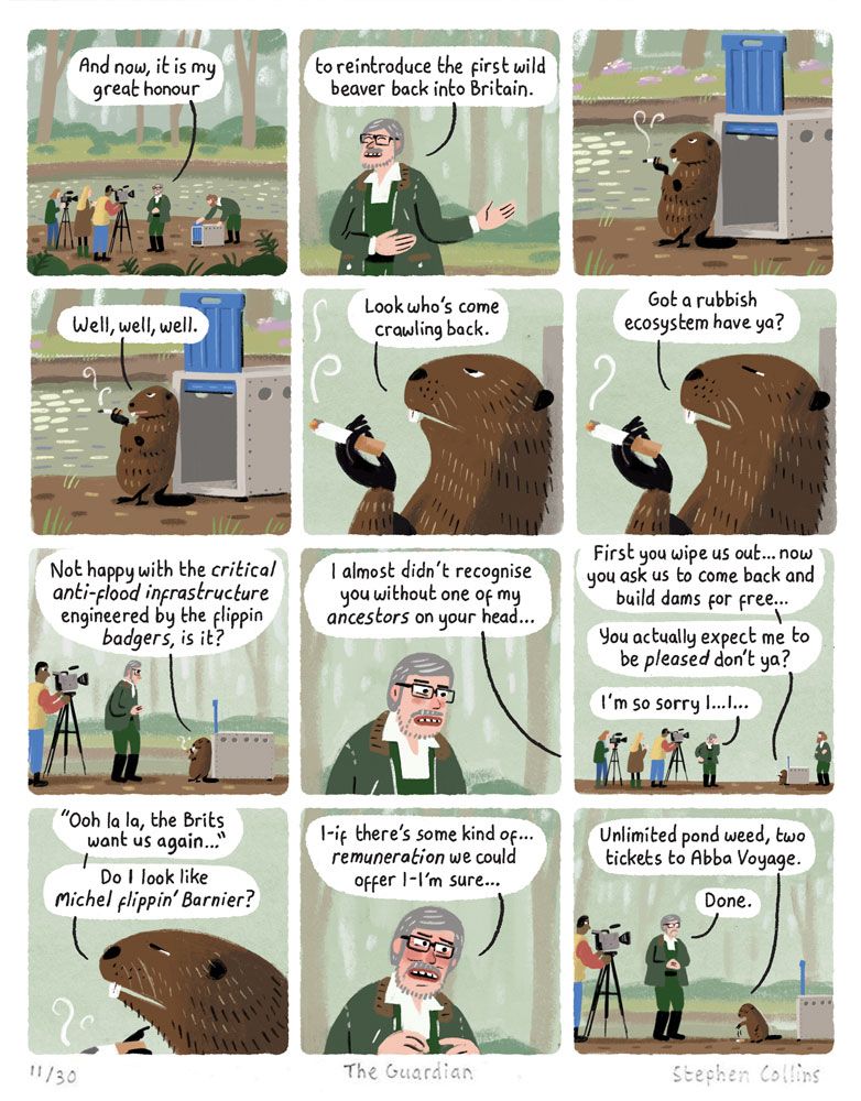 Print for sale of a comic by Stephen Collins. Script as follows:

Scene is a British WOODLAND by a RIVER. A NATURALIST is stood next to a cage, and TV NEWS REPORTERS are filming him and the cage. 

1
NATURALIST:
And now It is my great honour 

 2
NATURALIST:
to reintroduce the first wild beaver 
back into Britain 

3
[Cut to the BEAVER’S CAGE. Its door is open and the Beaver is leaned nonchalantly up against the opening, smoking a cigarette.]

4
BEAVER:
Well, well, well.

5
BEAVER:
Look who's come crawling back.

6 
BEAVER:
Got a rubbish ecosystem have ya? 

7
BEAVER:
Not happy with the *critical anti-flood infrastructure* engineered by the flippin *badgers*?

8
BEAVER:
I almost didn't recognise you without one of my ancestors on your head…

9
BEAVER:
First you wipe us out… now you ask us to come back and build dams for free…
You actually expect me to be *pleased* don’t ya? 

NATURALIST:
I'm so sorry I…I…

10
BEAVER:
“Ooh la la, the Brits have come crawling back…”
Do I look like *Michel flippin’ Barnier*?

11
NATURALIST:
I-if there’s some kind of… *remuneration* we could offer I-I’m sure…

12
BEAVER [throwing cigarette to the ground]:
Unlimited pond weed, two tickets to Abba Voyage. 

NATURALIST:
Done.

[ends]