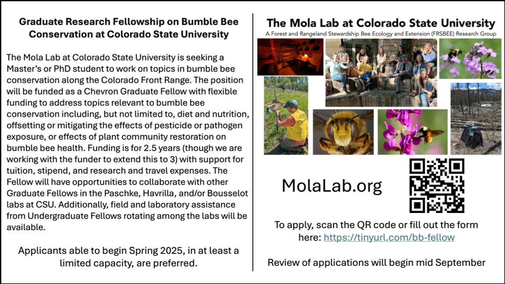 A flyer for a position in our lab. Text states: "Graduate Research Fellowship on Bumble Bee Conservation at Colorado State University
 
The Mola Lab at Colorado State University is seeking a Master’s or PhD student to work on topics in bumble bee conservation along the Colorado Front Range. The position will be funded as a Chevron Graduate Fellow with flexible funding to address topics relevant to bumble bee conservation including, but not limited to, diet and nutrition, offsetting or mitigating the effects of pesticide or pathogen exposure, or effects of plant community restoration on bumble bee health. Funding is for 2.5 years (though we are working with the funder to extend this to 3) with support for tuition, stipend, and research and travel expenses. The Fellow will have opportunities to collaborate with other Graduate Fellows in the Paschke, Havrilla, and/or Bousselot labs at CSU. Additionally, field and laboratory assistance from Undergraduate Fellows rotating among the labs wil