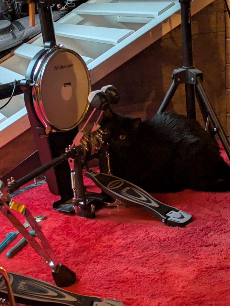a kick drum on a carpet, with pedals installed. behind the pedal is a black cat looking half-apologetic, half-mischevious