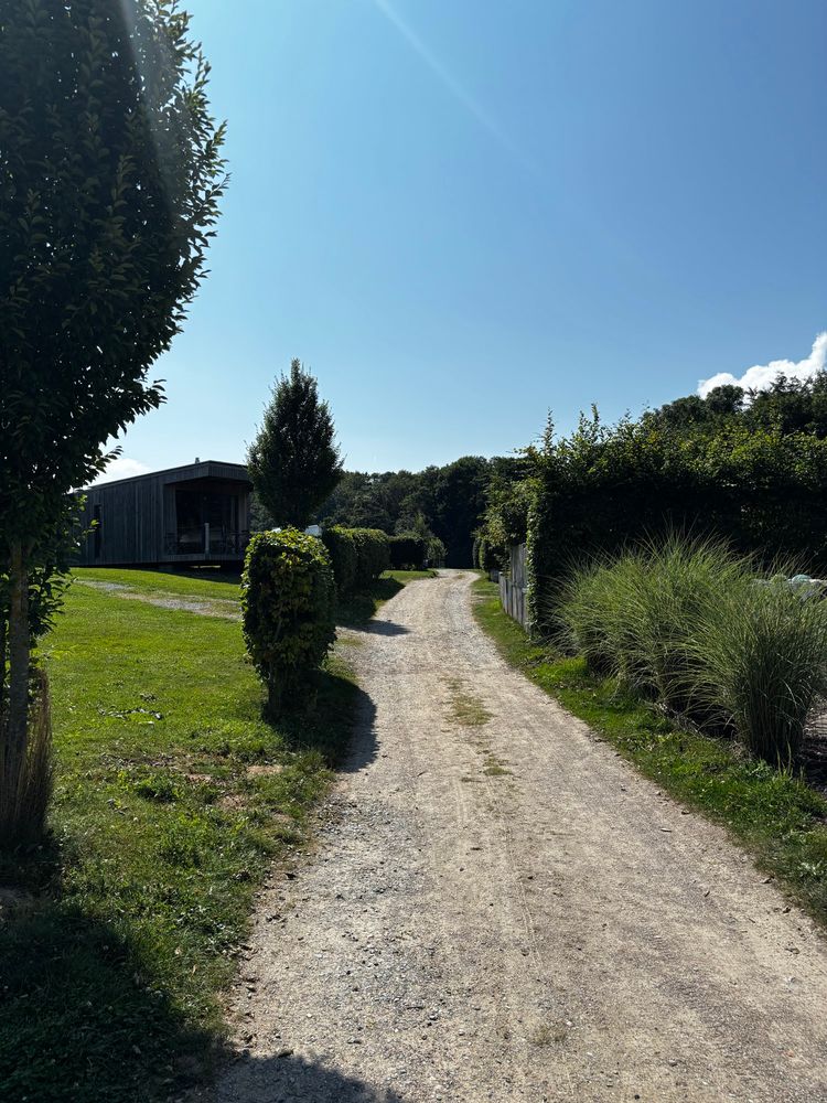 Ein Weg zwischen Hecken