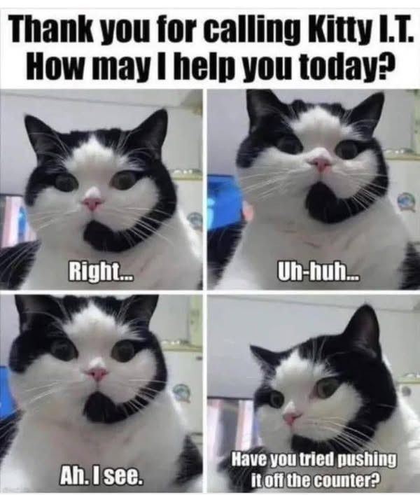 Comment image