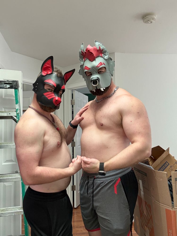 two pups flexing in their hoods after the gym