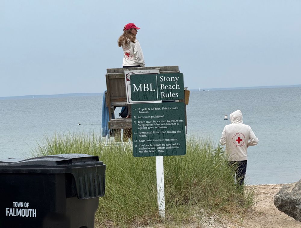 Lifeguard stand with two lifeguards and a sign listing MBL Stony Beach Rules 