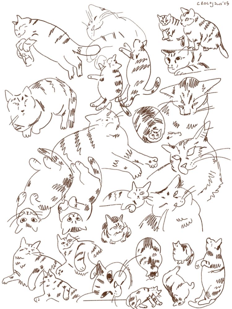 Doodle page of @unclecucky’s cat, Muffy. :-)