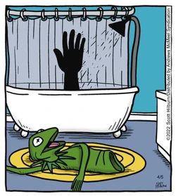 Cartoon of a bathroom, with a Kermit muppet skin discarded on the floor while we see a human hand taking a shower through the shower curtain.