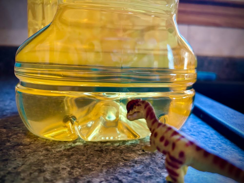 A green Dilophosaurus with brown spots stands before a large jug of yellow vegetable oil on a blue kitchen counter.