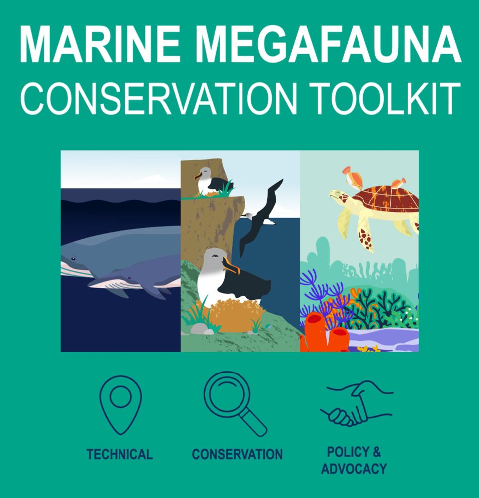 Infographic showing images of marine megafauna (whale, albatross, turtle) and symbols representing the scope of the toolkit (technical, conservation and policy & advocacy)