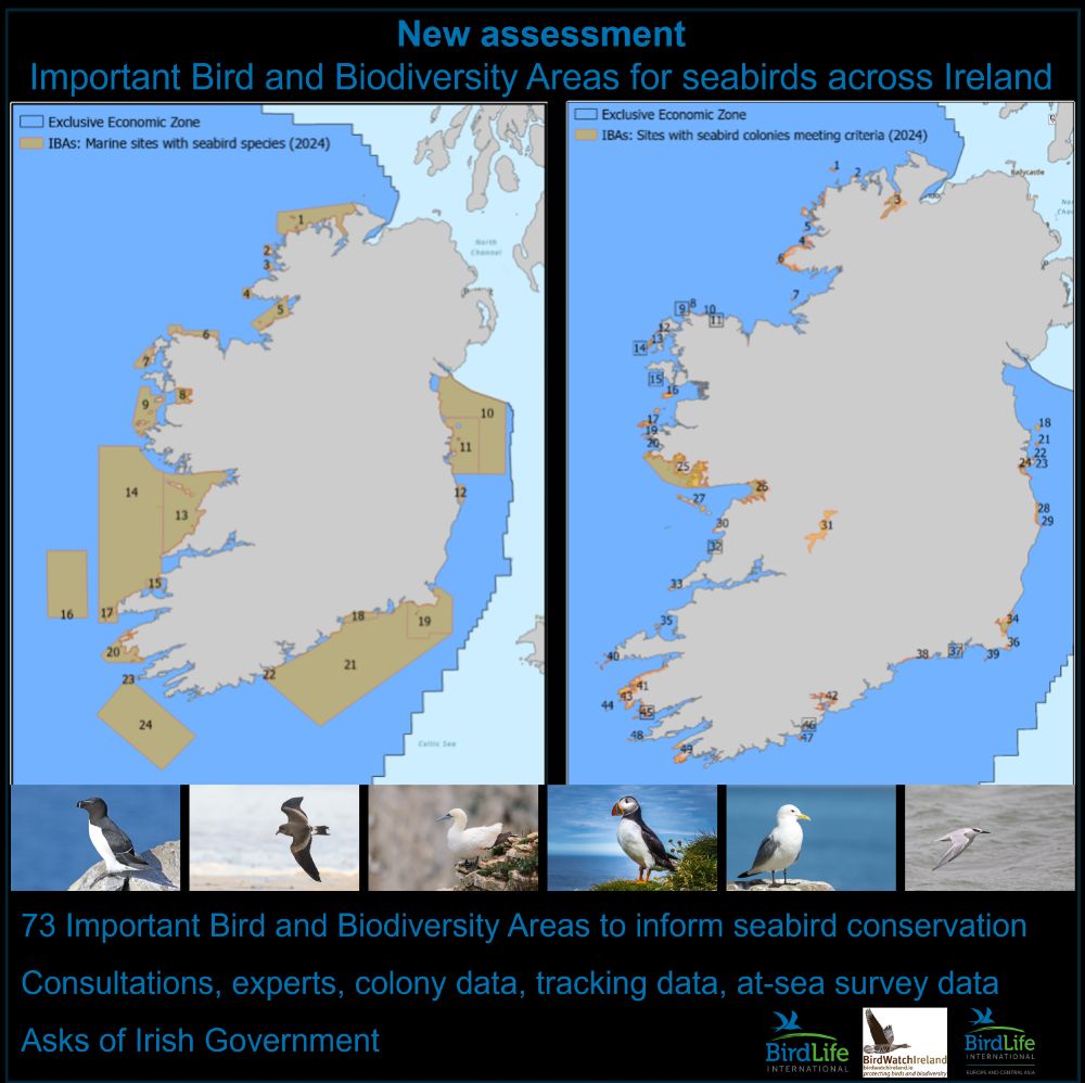 Maps showing the 73 marine and coastal/terrestrial IBAs published by BirdWatch Ireland. 

Text reads: New assessment. Important Bird and Biodiversity Areas for seabirds across Ireland. 73 Important Bird and Biodiversity Areas to inform seabird conservation Consultations, experts, colony data, tracking data, at-sea survery data Asks of Irish Government