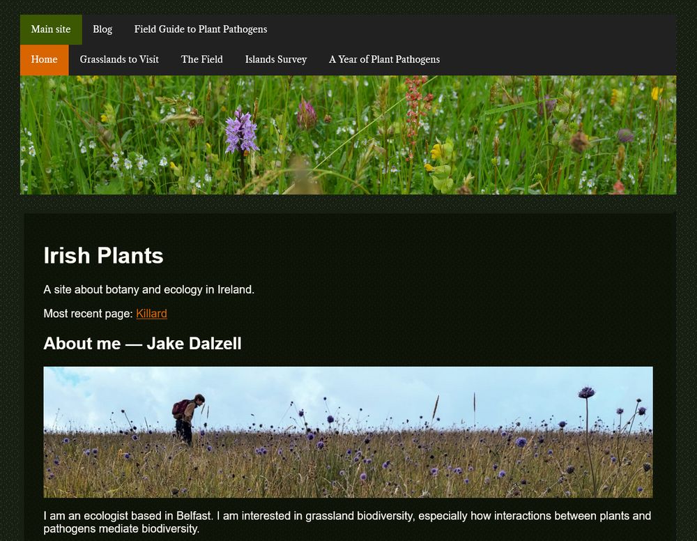 A screenshot of a website with a dark green theme, with a picture of a Common Spotted Orchid in a grassland and a picture of a man standing amongst Devil's-bit Scabious. The text reads:

Irish Plants

A site about botany and ecology in Ireland.

Most recent page: Killard
About me — Jake Dalzell

I am an ecologist based in Belfast. I am interested in grassland biodiversity, especially how interactions between plants and pathogens mediate biodiversity.