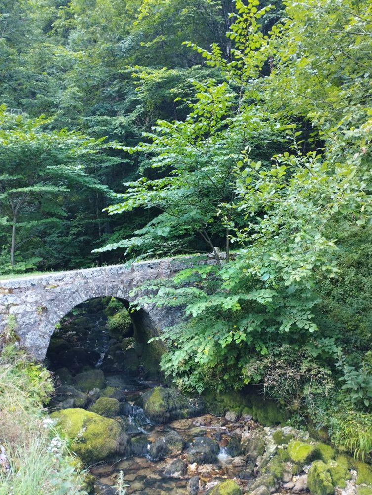 Pont en pierre au-dessus d'une rivière quelque part dans le Haut-Jura 
