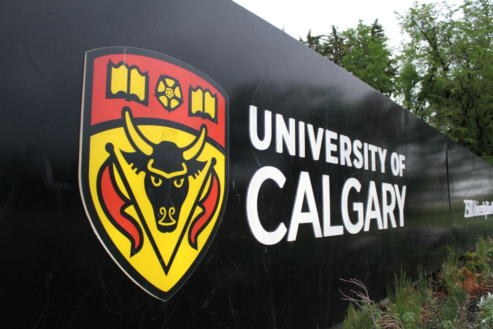 First-of-its-kind University of Calgary study shows link between teen dating violence and concussion