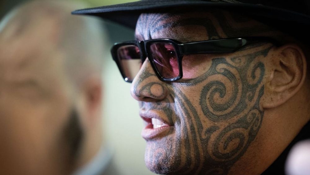 Te Pāti Māori wants Māori Parliament, issues declaration of independence