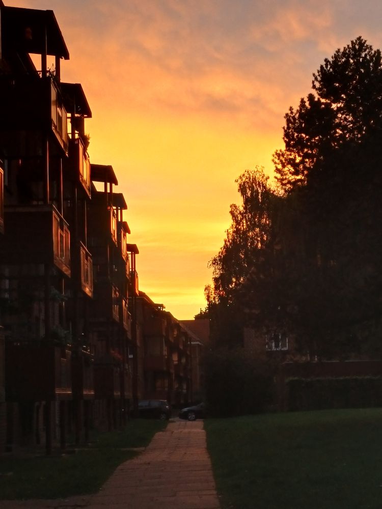 Abendsonne rot-orange-bleu....
Mit Seitenansicht von Häusern und Bäumen, die im Schatten stehen.