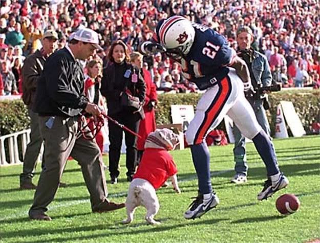 UGA the bulldog trying to bite an Auburn player