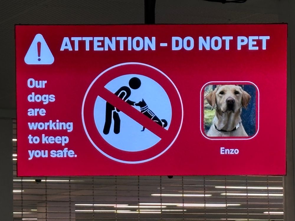 A sign at the airport telling people not to pet Enzo the security dog who is working. It has a photo of him. He is a yellow lab.