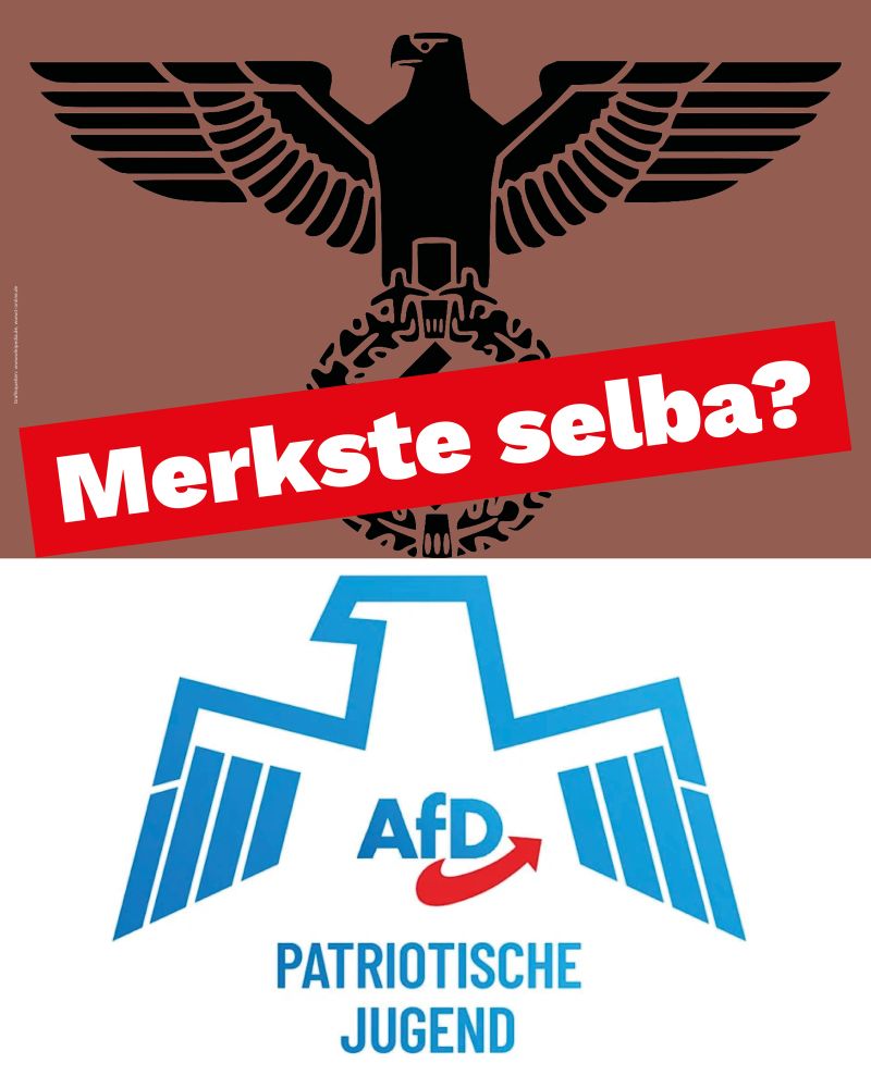 Oben den ehemaligen Reichsadler, unten das neue Logo der AfD Jugend 
