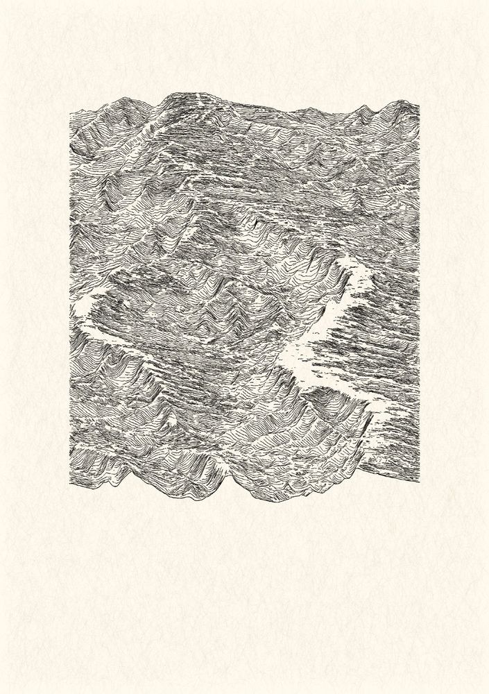 a black and white digital image representing a landscape using etching aesthetic.