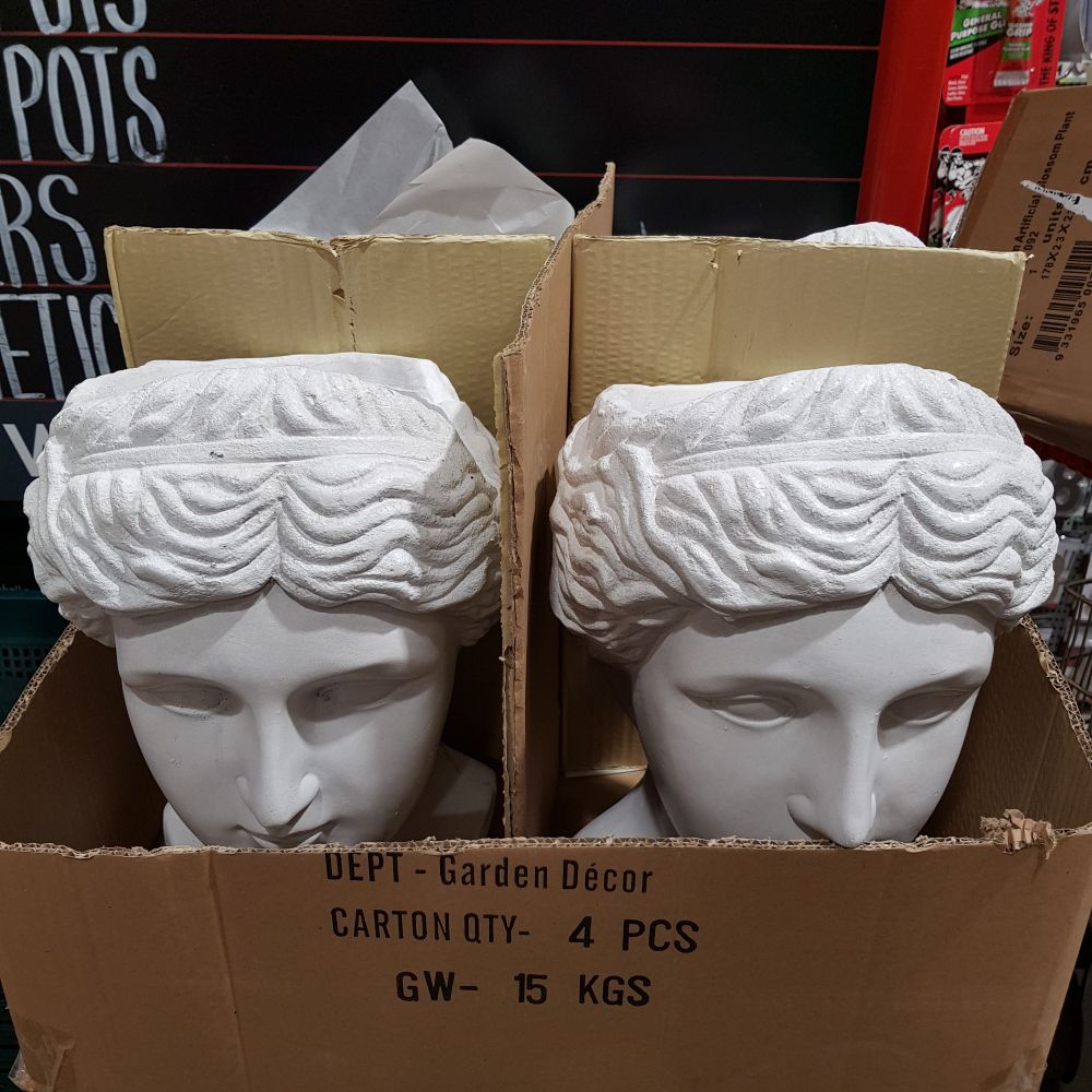 Two classical busts of female heads in a cardboard box, in the garden decor section of the local hardware warehouse.