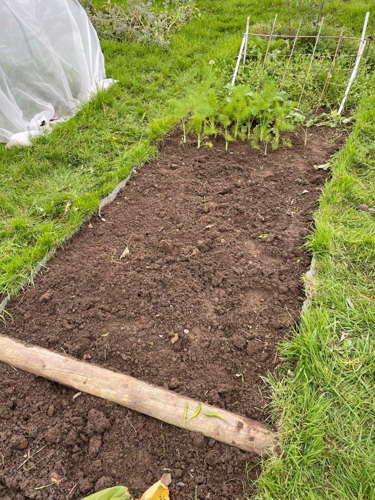 A bare patch of soil at an allotment 