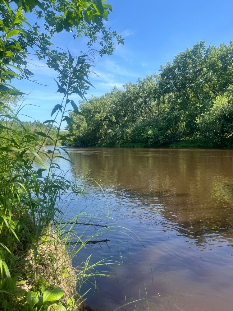 View of the Rum River looking north from a bluff at Rum River Central Regional Park