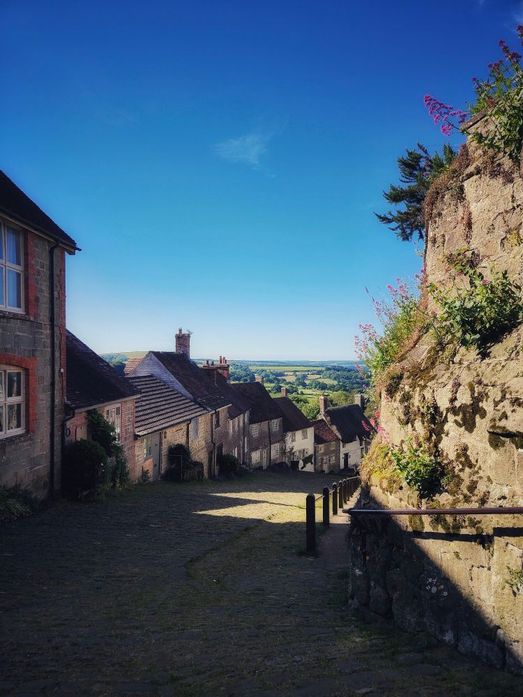 GoldHill. Dorset on a summer morning