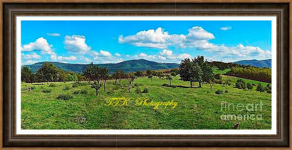 Panoramic landscape with perspective view. Lush green meadow stretches out under a blue sky dotted with fluffy white clouds, leading to a backdrop of rolling hills covered by woods. Image taken in late May, when the spring turns into summer under bright sunshine. Stitched panoramic photograph. Framed artwork.
