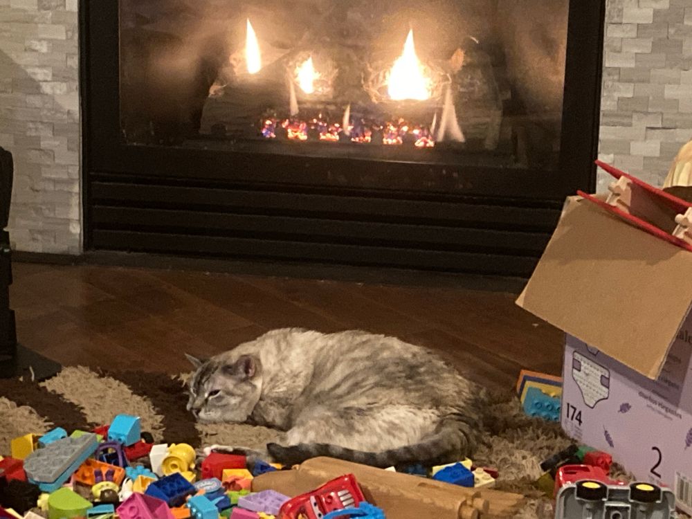 A mottled cream cat named Rey rests in a relaxed shrimp pose in front of a fireplace. It is her favorite.