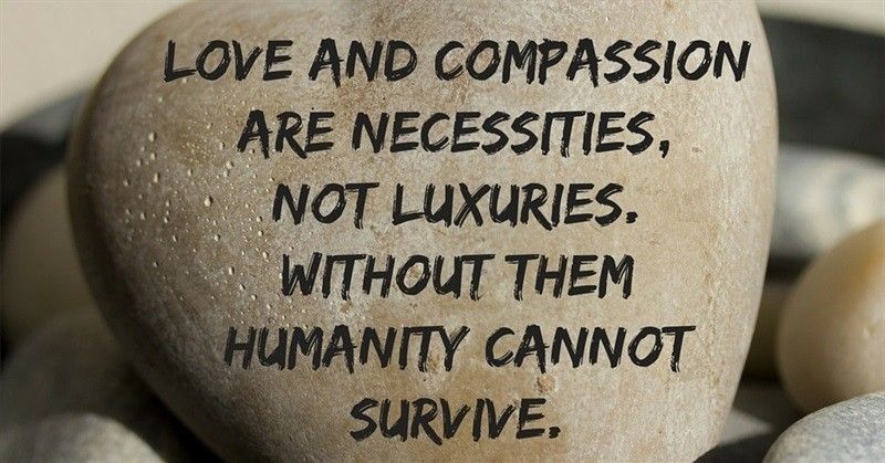 A heart shaped, smooth River Rock with these words overlaid atop the rock: 

Love and Compassion are Necessities, 
Not Luxuries. 

Without them
Humanity Cannot Survive. 