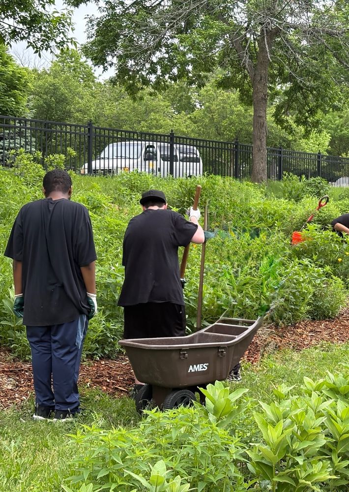 Volunteers in community garden.