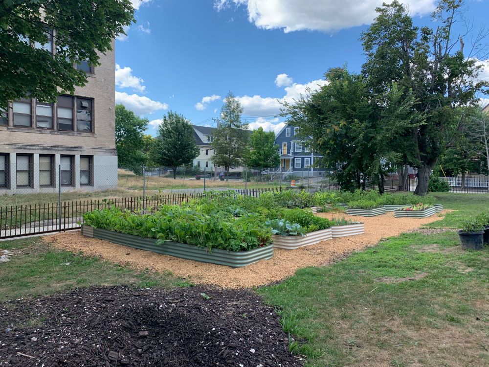 Beautiful vegetable gardens.